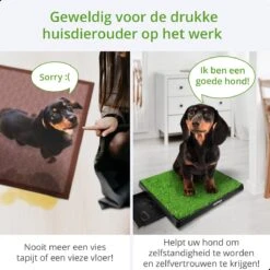 AWEMOZ Hondentoilet Kunstgras - Met 2 Matten En Opvangbak - 64x52x7,5cm - Puppy Pads - Zindelijkheidstraining Hond - Training Pads - Indoor / Outdoor Honden Toilet 15 AWEMOZ Hondentoilet Kunstgras - Met 2 Matten En Opvangbak - 64x52x7,5cm - Puppy Pads - Zindelijkheidstraining Hond - Training Pads - Indoor / Outdoor Honden Toilet -Hondenproducten 1200x1200 862
