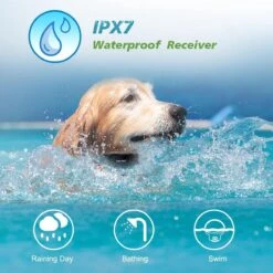 Anti Blafband EN Trainingshalsband In 1 - UNIEK SYSTEEM - 1000m Bereik - 100 Levels - Trainingsband - Antiblafband - Geluid En Vibratie/trilling - Grote En Kleine Honden - Waterdicht - Incl. E-book -Hondenproducten 1200x1200 884