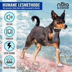 Nola & Coco® Oplaadbare Anti Blafband - 4 Kleuren - Zonder Schok - Waterdichte Diervriendelijke Blaf Halsband - Opvoedingshalsband - Voor Grote En Kleine Honden - Lichte Vibratie En Geluid - 3 Tot 60kg -Hondenproducten 1200x1200 887