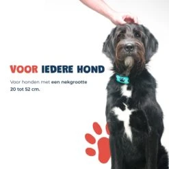 Anti Blafband - Blafband Voor Honden - Anti Blaf Apparaat - Blafband - Diervriendelijk & Zonder Schok 18 Anti Blafband - Blafband Voor Honden - Anti Blaf Apparaat - Blafband - Diervriendelijk & Zonder Schok -Hondenproducten 1200x1200 896