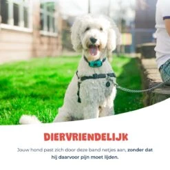 Anti Blafband - Blafband Voor Honden - Anti Blaf Apparaat - Blafband - Diervriendelijk & Zonder Schok 19 Anti Blafband - Blafband Voor Honden - Anti Blaf Apparaat - Blafband - Diervriendelijk & Zonder Schok -Hondenproducten 1200x1200 897