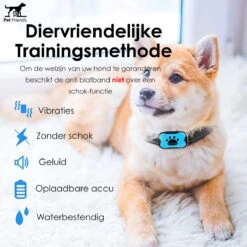 PetFriends Anti Blafband Zonder Schok - Gratis Hondenfluit - USB Oplaadbaar - Anti Blaf Apparaat - Opvoedingshalsband - Voor Grote En Kleine Honden -Hondenproducten 1200x1200 923