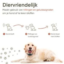 Premium Anti Blafband Apparaat Om Je Hond Snel En Effectief Te Laten Stoppen Met Blaffen - Diervriendelijke Opvoedingshalsband Zonder Schok - Trainingshalsband Voor Grote En Kleine Honden - Anti Blaf Apparaat - Correctie Halsband -Hondenproducten 1200x1200 928