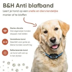 Premium Anti Blafband Apparaat Om Je Hond Snel En Effectief Te Laten Stoppen Met Blaffen - Diervriendelijke Opvoedingshalsband Zonder Schok - Trainingshalsband Voor Grote En Kleine Honden - Anti Blaf Apparaat - Correctie Halsband -Hondenproducten 1200x1200 929