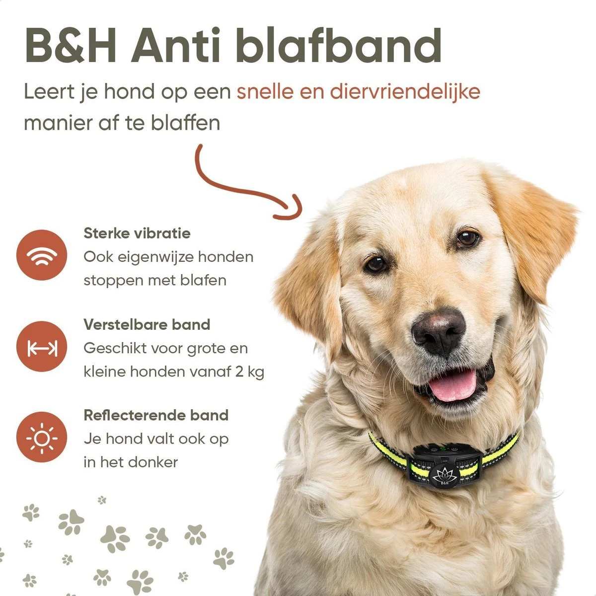 Premium Anti Blafband - Diervriendelijke Opvoedingshalsband Zonder Schok - Trainingshalsband Voor Grote En Kleine Honden - Anti Blaf Band - Correctie Halsband 10 Premium Anti Blafband - Diervriendelijke Opvoedingshalsband Zonder Schok - Trainingshalsband Voor Grote En Kleine Honden - Anti Blaf Band - Correctie Halsband - Afbeelding 8