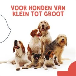 JC Pets Ultrasone Anti Blaf Apparaat Voor Kleine En Grote Honden - Oplaadbaar - Alternatief Anti Blafband Voor Honden - Diervriendelijk & Zonder Schok 18 JC Pets Ultrasone Anti Blaf Apparaat Voor Kleine En Grote Honden - Oplaadbaar - Alternatief Anti Blafband Voor Honden - Diervriendelijk & Zonder Schok -Hondenproducten 1200x1200 973