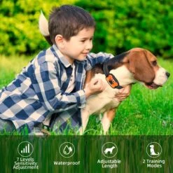 NIIYEBU Anti Blafband - Blafbanden Voor Honden - Anti Blaf Apparaat - Diervriendelijk - Zonder Schok - Vibratie En Audio -Hondenproducten 1200x1200 981