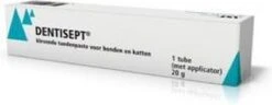 Dentisept Tandpasta - 20 G -Hondenproducten 1200x466