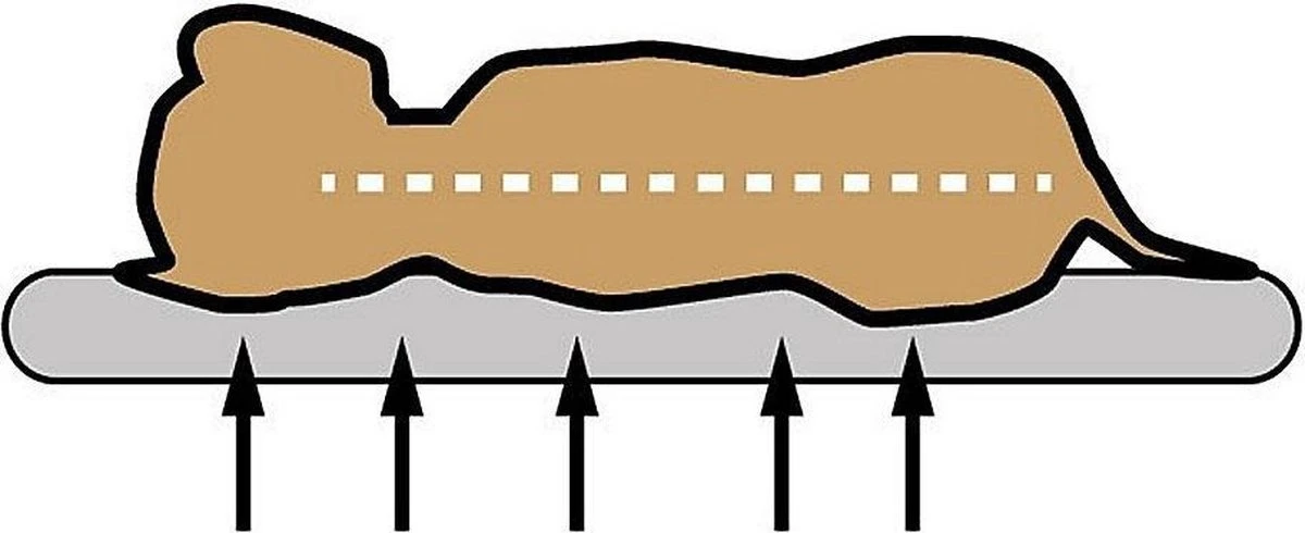 Sun Garden Buddy Orthopedisch Hondenkussen 140x100x10cm 4 Sun Garden Buddy Orthopedisch Hondenkussen 140x100x10cm - Afbeelding 2