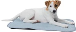 Trixie Junior Ligmat Fresh Lichtblauw - 60X50 CM -Hondenproducten 1200x512