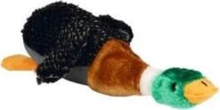 Beeztees Eend - Hondenspeelgoed - Pluche - 36x25,5x9 Cm -Hondenproducten 1200x597 5