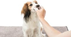 Trixie Verzorgingsvinger - 50 Stuks 8 Trixie Verzorgingsvinger - 50 Stuks -Hondenproducten 1200x630 2