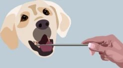 AE Dogz Tandsteenverwijderaar/Tandenkrabber 8 AE Dogz Tandsteenverwijderaar/Tandenkrabber -Hondenproducten 1200x663 3