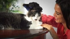 Vacht Verzorgingsborstel Voor Huisdieren - Blauw - LimitedDeals - Voor Honden Katten Konijnen Paarden - Tevens Massage Handschoen Voor Dieren! - Goed Voor De Verzorging Van De Vacht -Hondenproducten 1200x674 1