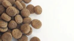 Carocroc Low Energy 22/8 - Hondenvoer - 15 Kg 19 Carocroc Low Energy 22/8 - Hondenvoer - 15 Kg -Hondenproducten 1200x675 1