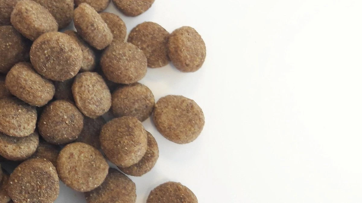 Carocroc Low Energy 22/8 - Hondenvoer - 15 Kg 9 Carocroc Low Energy 22/8 - Hondenvoer - 15 Kg - Afbeelding 7