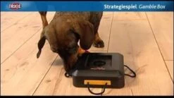 Trixie Dogtoy Dog Activity Strategy Game Gamble Box - Piepend Speelgoed - 15cm X 15cm X 9cm - Zwart/rood/oranje 27 Trixie Dogtoy Dog Activity Strategy Game Gamble Box - Piepend Speelgoed - 15cm X 15cm X 9cm - Zwart/rood/oranje -Hondenproducten 1200x675 3