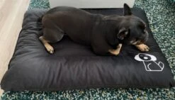 Hondenkussen XL - Donkergrijs - 60 X 90 X 12 -Hondenproducten 1200x685 1