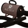 Tools-2-Groom Waterblazer Basic Paw-R 2200 Watt -Hondenproducten 1200x693 3