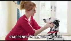 Beaphar Tandpasta - 100 Gr -Hondenproducten 1200x697 3