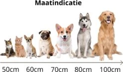 Behave Donut Hondenmand - Hondenkussen - Hondenbed - Kattenmand - Fluffy - Donut - 50cm - Beige -Hondenproducten 1200x706 4