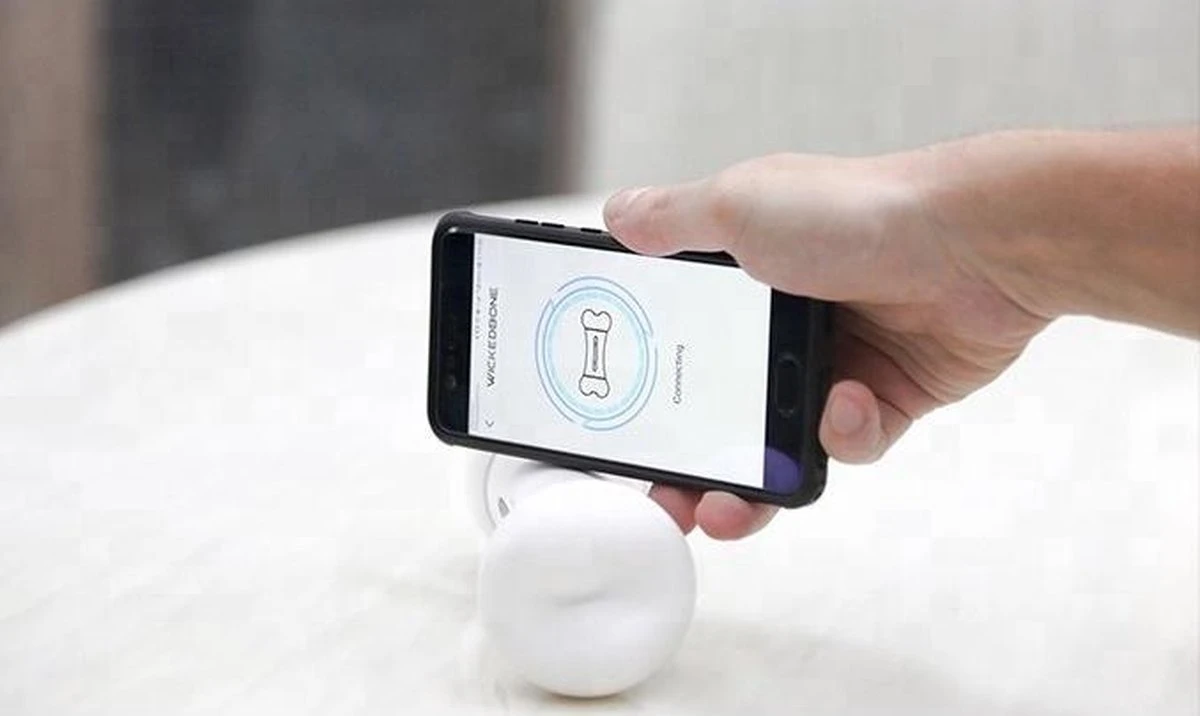 Wickedbone - Automatisch, Interactief En Intelligent Speelgoed Voor Honden - App & Bluetooth Bestuurbaar - USB Oplaadbaar 11 Wickedbone - Automatisch, Interactief En Intelligent Speelgoed Voor Honden - App & Bluetooth Bestuurbaar - USB Oplaadbaar - Afbeelding 9