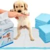 Mr. Poop Toodeloo -Puppy Pads - Training Pads - Maat S: 45 X 33cm - 30 Stuks 2 Mr. Poop Toodeloo -Puppy Pads - Training Pads - Maat S: 45 X 33cm - 30 Stuks -Hondenproducten 1200x717 2
