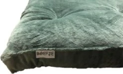 Boefje Hondenkussen - 80 X 120 Cm - Fluweel - Lichtgroen -Hondenproducten 1200x728 2