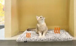 Merkloos Zelfverwarmende Dierendeken Zonder Stroom Thermo Deken Hond Kat Inclusief Adreslabel 70 X 47 Cm -Hondenproducten 1200x730 5