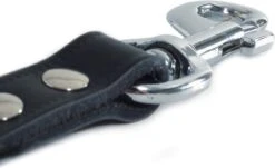 Beeztees Korthouder - Hondenriem - Leer - Bruin - 40x18 Cm 7 Beeztees Korthouder - Hondenriem - Leer - Bruin - 40x18 Cm -Hondenproducten 1200x732