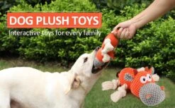 Merkloos Hondenknuffel - Interactief Piepspeelgoed Voor Honden - Teddy - Stoer Hondenkauwspeelgoed - Met Katoenen Materiaal En Gekreukt Papier - Hondenspeelgoed Voor Grote En Kleine Honden 14 Merkloos Hondenknuffel - Interactief Piepspeelgoed Voor Honden - Teddy - Stoer Hondenkauwspeelgoed - Met Katoenen Materiaal En Gekreukt Papier - Hondenspeelgoed Voor Grote En Kleine Honden -Hondenproducten 1200x742 4