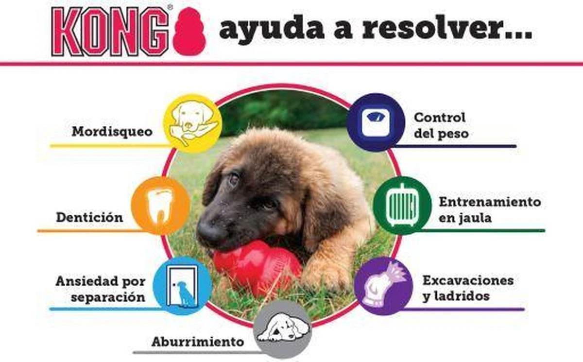 Kong Kauwbot - Hondenspeelgoed - Rood - S 6 Kong Kauwbot - Hondenspeelgoed - Rood - S - Afbeelding 4