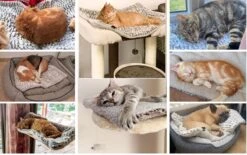 Merkloos Zelfverwarmende Dierendeken Zonder Stroom Thermo Deken Hond Kat Inclusief Adreslabel 70 X 47 Cm -Hondenproducten 1200x751 5