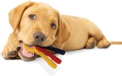 Nylabone Kauwbot - Puppy Kauwspeelgoed - Sleutels Met Baconsmaak - X-Small -Hondenproducten 1200x752 1