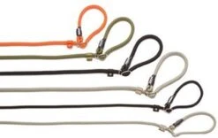 Rebel Petz - Honden Trainingslijn Met Halsband - Taupe, Zwart, Groen & Oranje - Maat Small Of Large - Kleur: Zwart, Maat: Large 28 Rebel Petz - Honden Trainingslijn Met Halsband - Taupe, Zwart, Groen & Oranje - Maat Small Of Large - Kleur: Zwart, Maat: Large -Hondenproducten 1200x756 1
