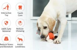 Merkloos Hondenknuffel - Interactief Piepspeelgoed Voor Honden - Teddy - Stoer Hondenkauwspeelgoed - Met Katoenen Materiaal En Gekreukt Papier - Hondenspeelgoed Voor Grote En Kleine Honden 17 Merkloos Hondenknuffel - Interactief Piepspeelgoed Voor Honden - Teddy - Stoer Hondenkauwspeelgoed - Met Katoenen Materiaal En Gekreukt Papier - Hondenspeelgoed Voor Grote En Kleine Honden -Hondenproducten 1200x777 2