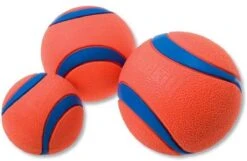 Chuckit! Chuckit Ultra Ball - XXL - 11 Cm 28 Chuckit! Chuckit Ultra Ball - XXL - 11 Cm -Hondenproducten 1200x781 6