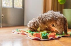 SNUFFIES® Snuffelmat Belle 60x50cm – Snuffelmat – Snuffelmatten - Honden Speelgoed - Honden Speelgoed Intelligentie - Snuffelmat Hond - Snuffelmatten – Hersenwerk – Honden Speeltjes – Puppy - Puppy Speelgoed - Honden Denkspelletjes -Hondenproducten 1200x783 2