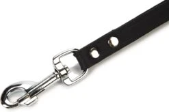 Beeztees Korthouder - Hondenriem - Leer - Bruin - 40x18 Cm 8 Beeztees Korthouder - Hondenriem - Leer - Bruin - 40x18 Cm -Hondenproducten 1200x796