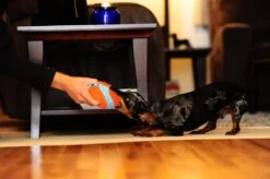 Chuckit! Chuckit Indoor Ball -Hondenproducten 1200x798 14