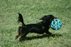 JW HOL-EE ROLLER Medium – Hondenbal Rubber – 11,5 Cm -Hondenproducten 1200x798 21