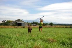 Benson Rode Honden Ballenwerper Met Ergonomische Handgreep – Inclusief Tennisbal – 38cm – Rood | Balwerper Voor Hond | Bal Werpen | Apporteer Speelgoed | Hondenspeelgoed -Hondenproducten 1200x798 8