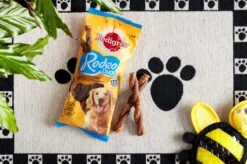 Pedigree Rodeo Duo Hondensnacks - Kip & Bacon - 10 X 7 Stuks -Hondenproducten 1200x799 12