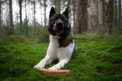 The Original Himalayan Yak Kauwbot Medium Puur Fit -Hondenproducten 1200x799 15