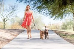 Wigzi Dual Doggie 2.0 Voor Twee Honden - Hondenriem - Grijs - 3m - <22 Kg (per Hond) -Hondenproducten 1200x799 2