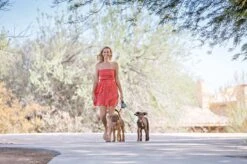 Wigzi Dual Doggie 2.0 Voor Twee Honden - Hondenriem - Grijs - 3m - <22 Kg (per Hond) -Hondenproducten 1200x799