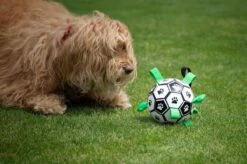 Honden Speelgoed Bal Voetbal Extra Sterk Met Handvaten Ball Hondenbal - 15 Cm - Dutchwide -Hondenproducten 1200x799 30