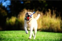 Chuckit! Chuckit Ultra Tug – Hondenspeelgoed - Blauw/Oranje – Large - ø 7 Cm -Hondenproducten 1200x799 33