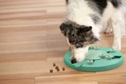 Nina Ottosson Dog Worker Composiet 34,5x34,5x5 Cm 18 Nina Ottosson Dog Worker Composiet 34,5x34,5x5 Cm -Hondenproducten 1200x799 36