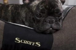 Hondenmand Zacht En Stevig, Anti-Slip En Wasbaar - Scruffs Chester Box Bed - In Grijs En Bruin In Maat S Tot XL - Kleur: Grijs, Maat: Medium -Hondenproducten 1200x799 57